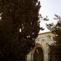 Omar Alqam Photo 8