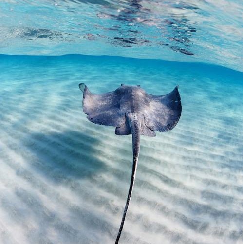 Larry Mccullough Photo 22