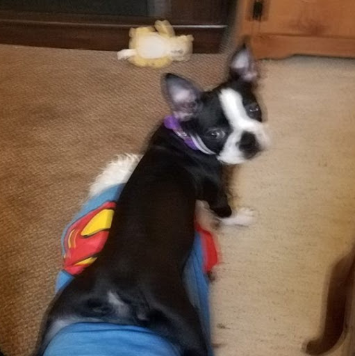 Judy Barton Photo 16