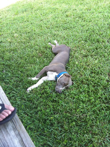 Ronnie Hill Photo 34