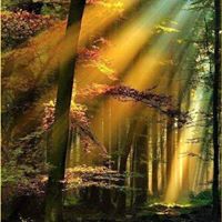 Debra Rushing Photo 4