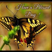 Maxine Wilson Photo 32