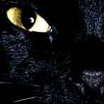 Morgan Prescott Photo 26