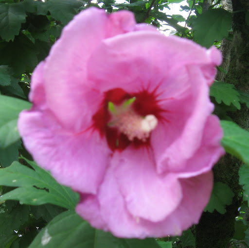 Terry Adkins Photo 31