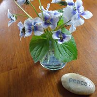 Kimberly Hood Photo 37
