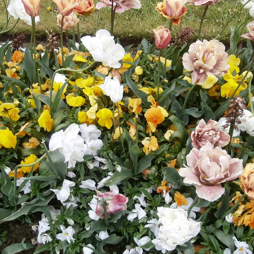 Edward Santiago Photo 20 Edward Santiago Photo 20