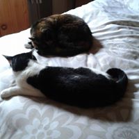 Annemarie Gallagher Photo 16