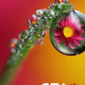 Xiaoping Chen Photo 7