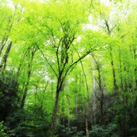 Michelle Sweat Photo 24