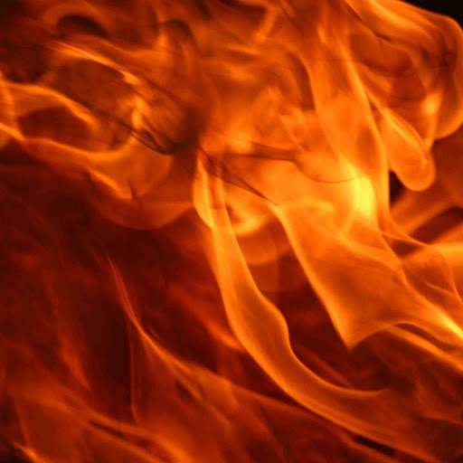 Ralph Mccarthy Photo 33 Ralph Mccarthy Photo 33