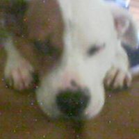 Edward Douglas Photo 43 Edward Douglas Photo 43