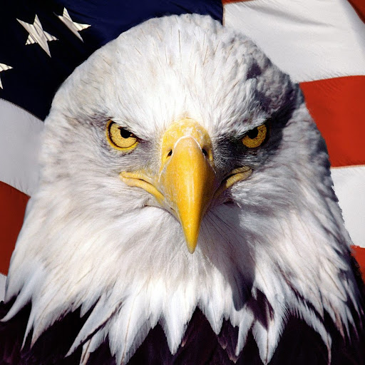 William Mattson Photo 30