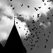 Alfred Black Photo 3