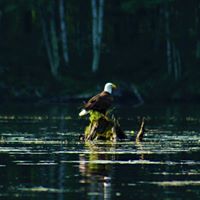 Robin Wendt Photo 20