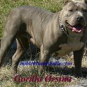 Kenneth Mclaughlin Photo 12