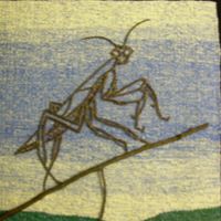 Kathleen Phelan Photo 13