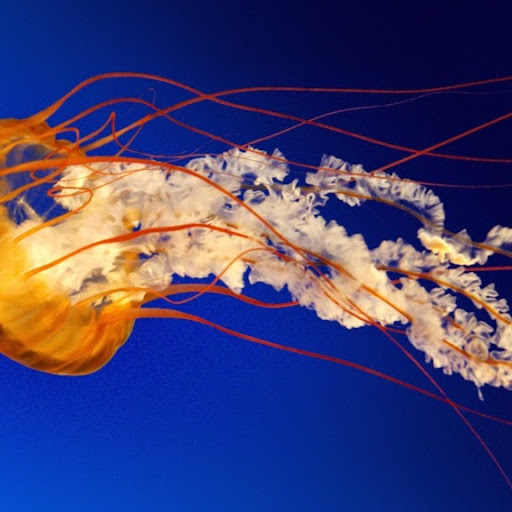 Michael Healy Photo 20