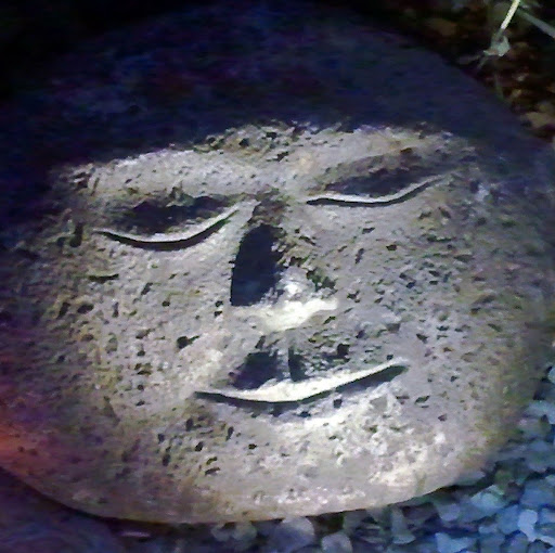 Mark Willis Photo 11