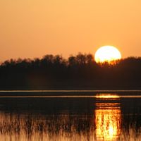 Ranae Martin Photo 13