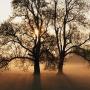 Jay Spaulding Photo 18