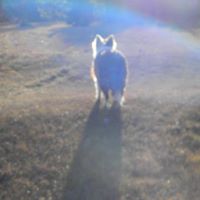 Kimberly Eckhoff Photo 12