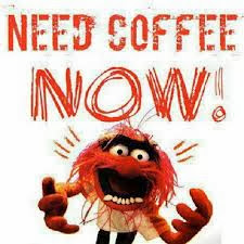 Mark Scherer Photo 16