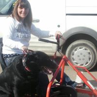 Carole Hedges Photo 4