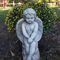 Traci Chapman Photo 34