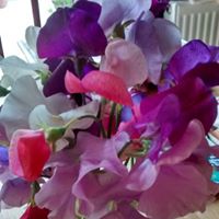 Catherine Andrews Photo 22