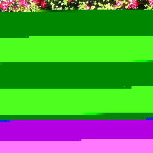 Danielle Calvert Photo 11