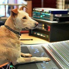 Chris Schwartz Photo 37