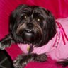 Joann Bridges Photo 2