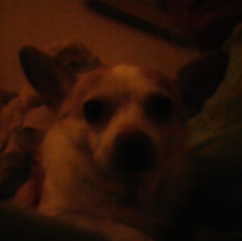 Kathryn Summers Photo 4 Kathryn Summers Photo 4