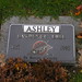 Larry Fraser Photo 30