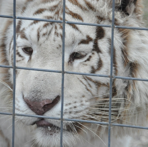 Mary Mark Photo 25 Mary Mark Photo 25