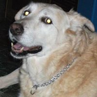 Katherine Macleod Photo 34