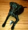 Jane Schroeder Photo 24