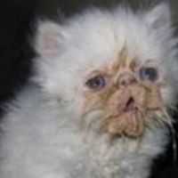 Kathleen Neary Photo 16