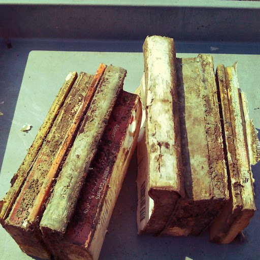 Margaret Woods Photo 13