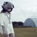 Daniel Harsha Photo 10