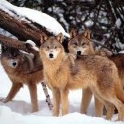 Bethany Shaw Photo 19