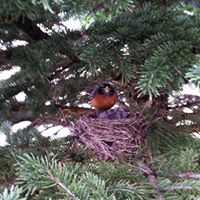 Nancy Douglass Photo 11