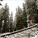 Daniel Schaefer Photo 10