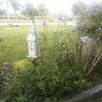 Jennifer Sauer Photo 19