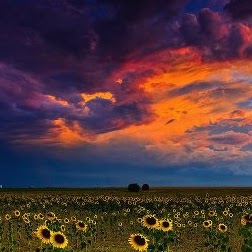 Charles Rowland Photo 48