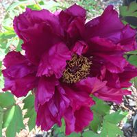 Phyllis Moody Photo 17