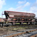 Tad Rood Photo 3