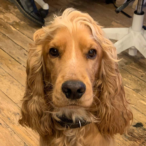 Katherine Carter Photo 16