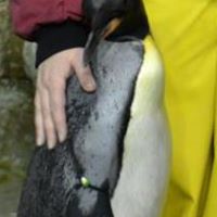 Melissa Kesler Photo 17