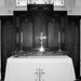 Peter Edmunds Photo 10